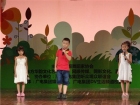 中国舞蹈家协会第183届教学成果展演圆满落幕